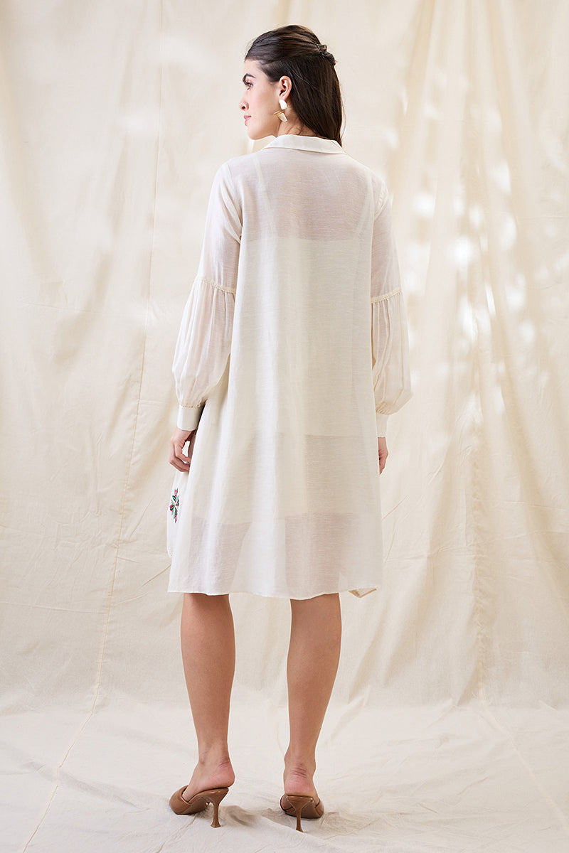 Gulzaar Appliqued A-Line Dress