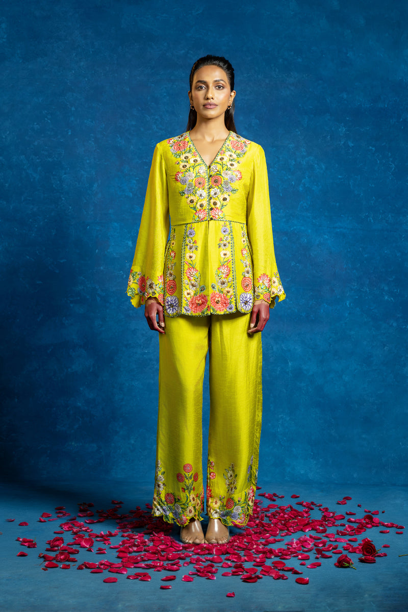 Baghira embellished panelled pant set
