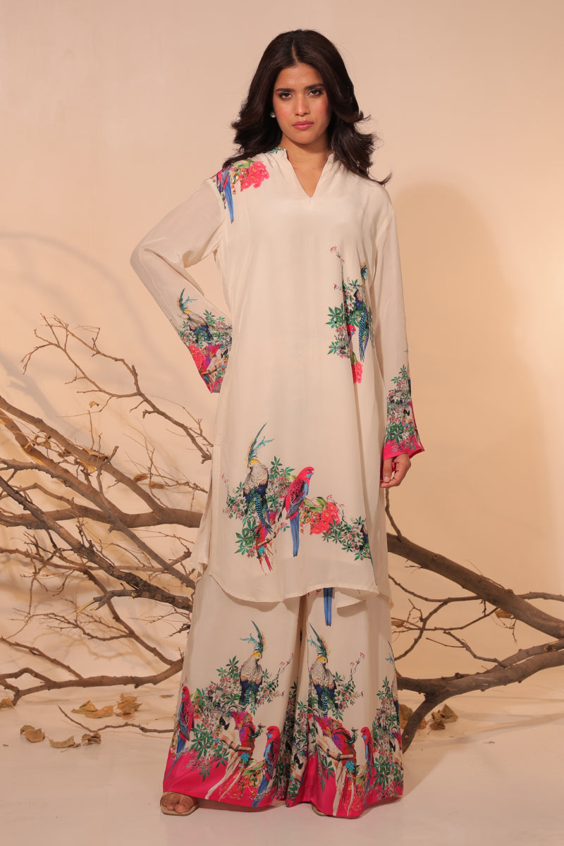 Parinda Tunic set