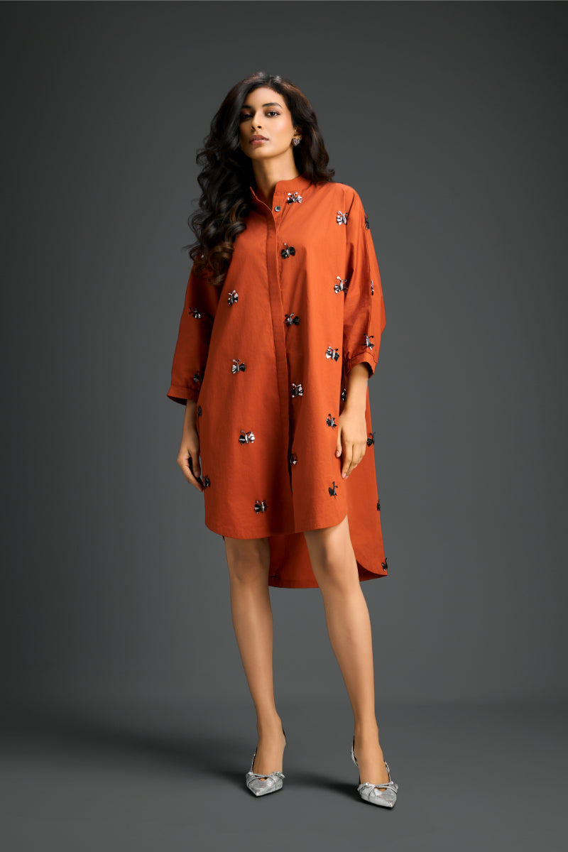 Shirt Dress