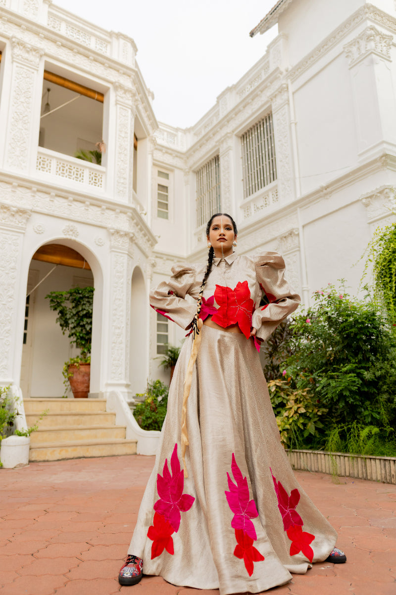 Saanvi - Shirt & skirt set