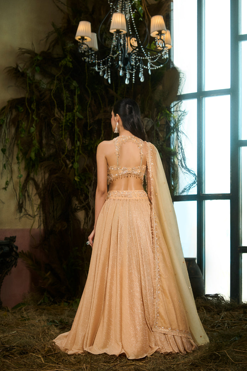 Mango Lehenga, Crop Top, Dupatta