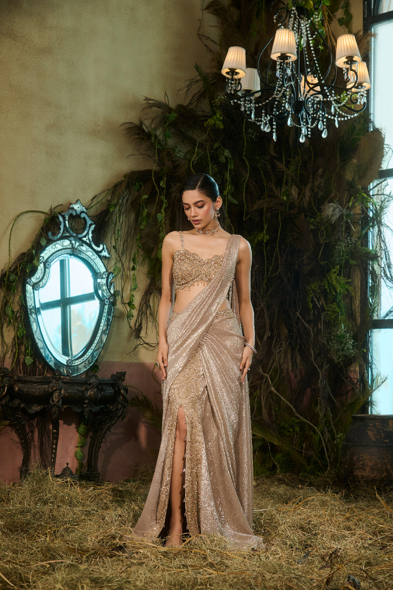 Gold Saree, Crystal Embroidered Blouse