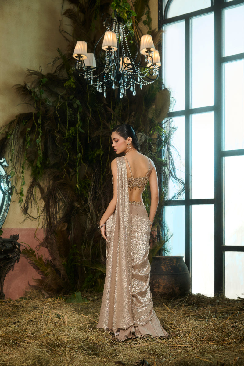Gold Saree, Crystal Embroidered Blouse