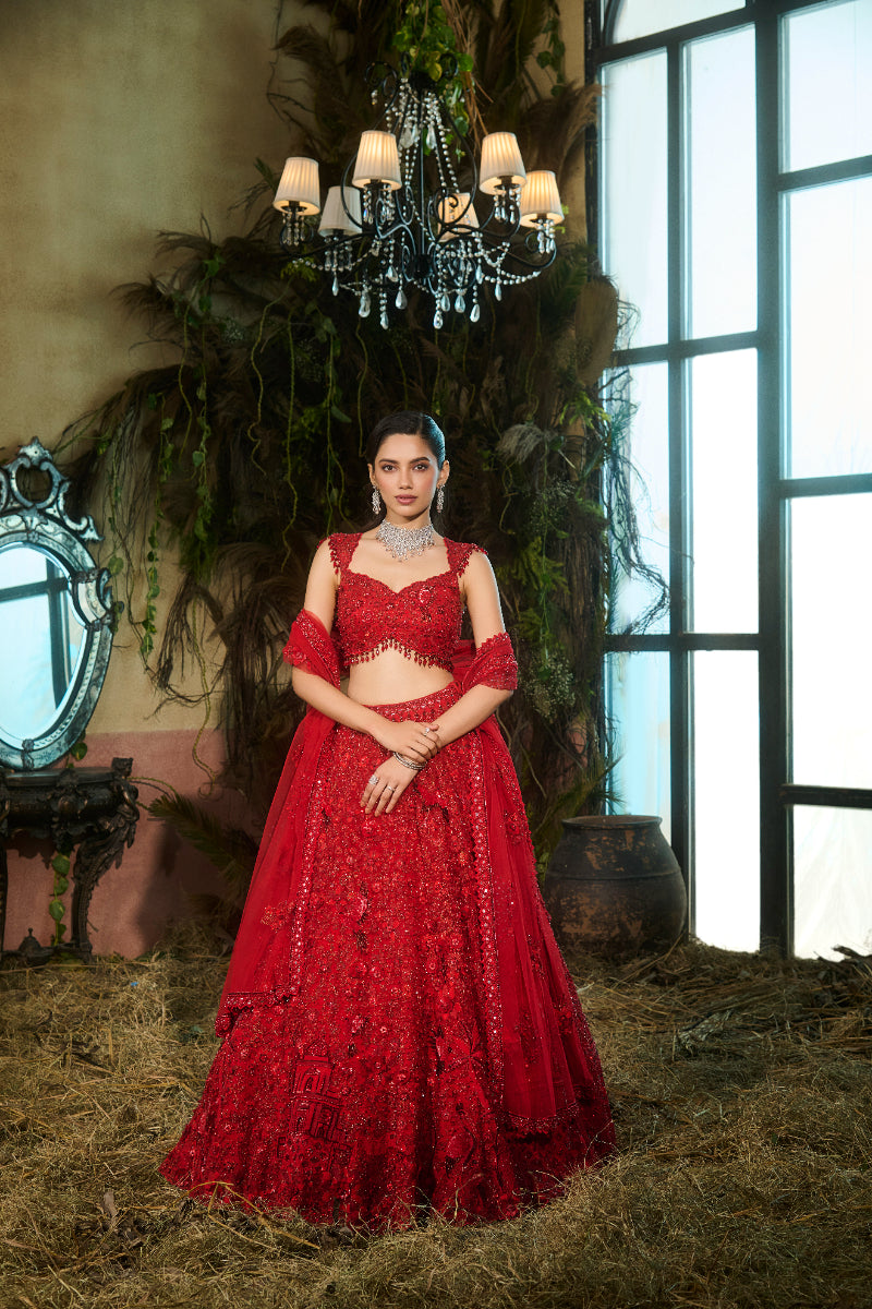 Red Embellished Lehenga, Blouse And Dupatta