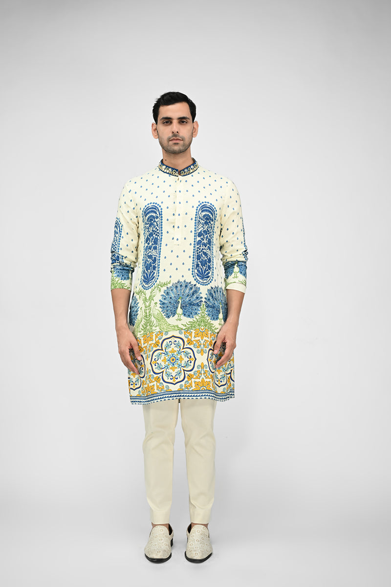 Royal Peacock Printed Kurta Set