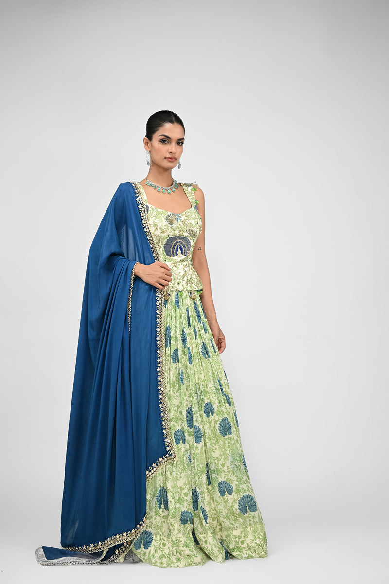 Peacock Highlighted Lehenga