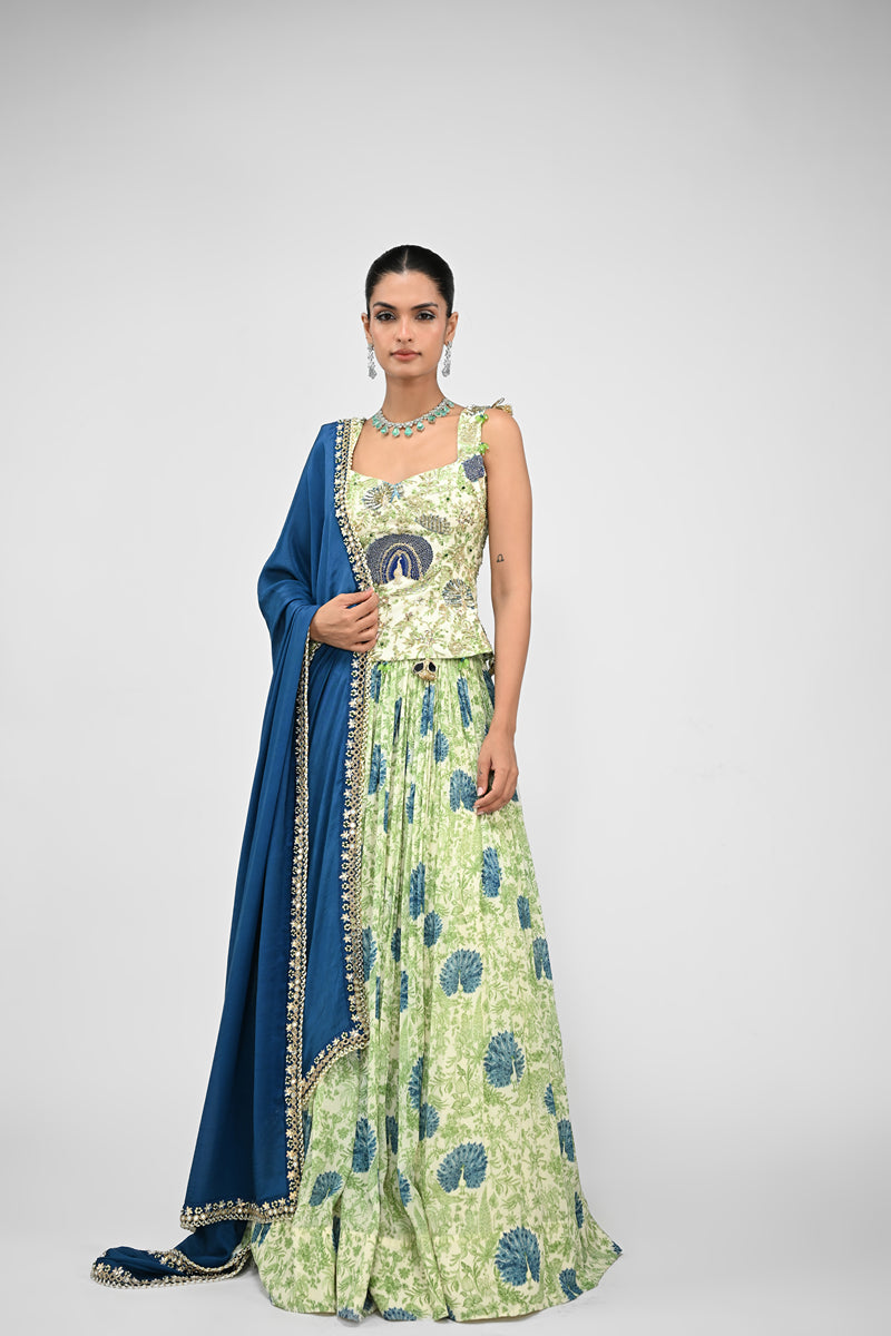 Peacock Highlighted Lehenga