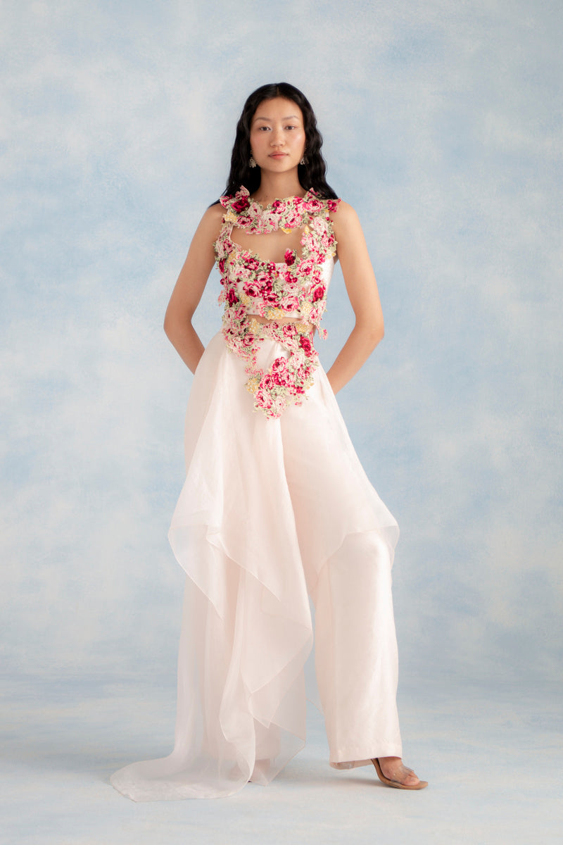 Embroidered Top With Organza Panelled Pants