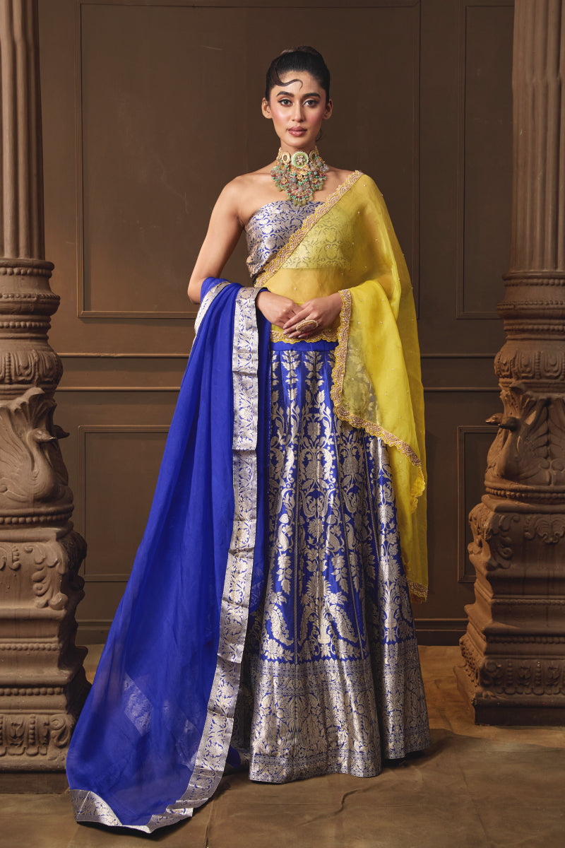 Blue Handwoven Banarsi Silk Lehenga