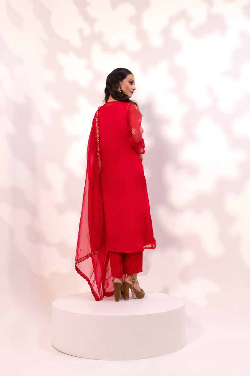 Red Embroidered Anarkali with Sheer Dupatta
