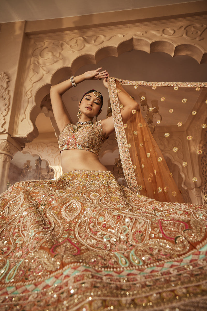 Rust Embellished Lehenga
