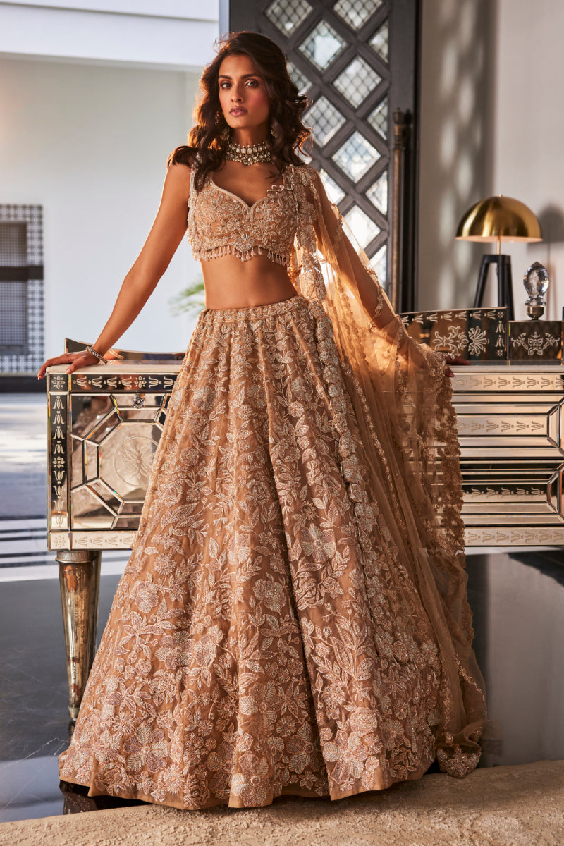 Gold Embroidered Organza Set